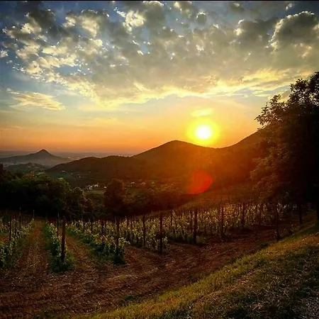 Terme Olympia 4* Монтегротто-Терме