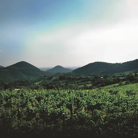 Terme Olympia Szálloda Montegrotto Terme