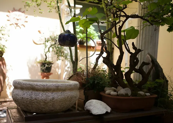 Terme Olympia Montegrotto Terme