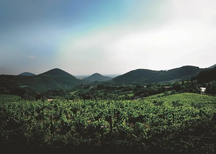 Terme Olympia Hotel Montegrotto Terme